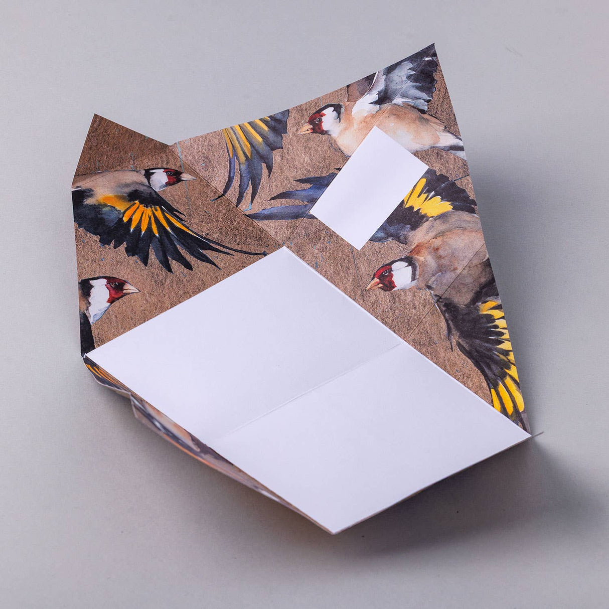 Pigeon Golden Flight - Folding Letter 6 Pack