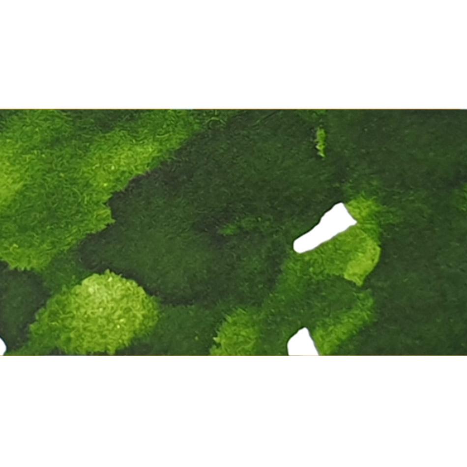 Dominant Industry Fountain Pen Ink - Leaf Green - Pure Pens