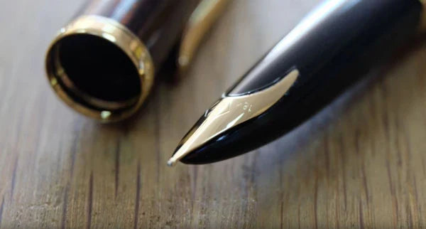 Waterman: A History