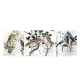 Field Notes Birds and Trees of North America 3 Pack Notebooks