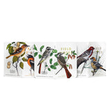 Field Notes Birds and Trees of North America 3 Pack Notebooks