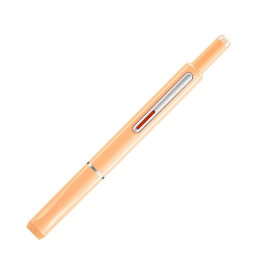 Writech Clictek Retractable Nib Fountain Pen - Orange