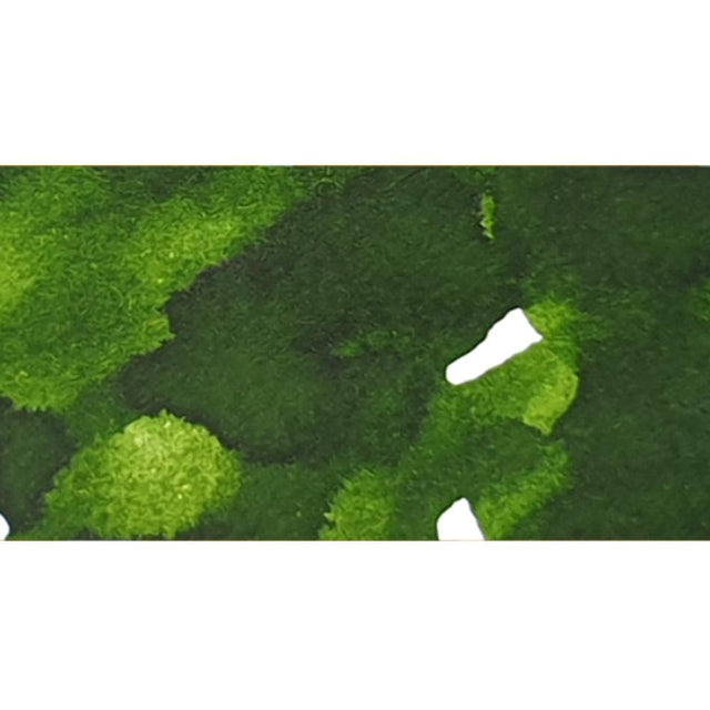 Dominant Industry Fountain Pen Ink - Leaf Green - Pure Pens