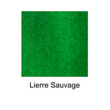 J. Herbin 'D' Bottled Ink - Lierre Sauvage (Wild Ivy) - Pure Pens