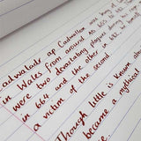 Pure Pens Ink - Cadwaladr - Pure Pens